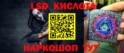 стаф Новодвинск