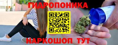 стаф Новодвинск