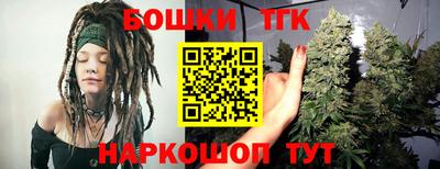 стаф Новодвинск